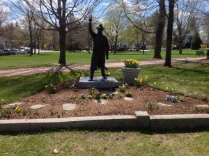 Daffodils Hopkinton